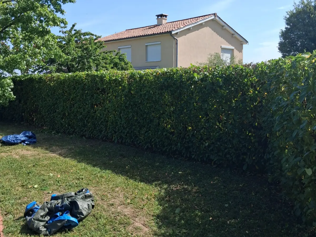Jardinier taillant une haie à l’automne dans le Sud-Ouest lyonnais